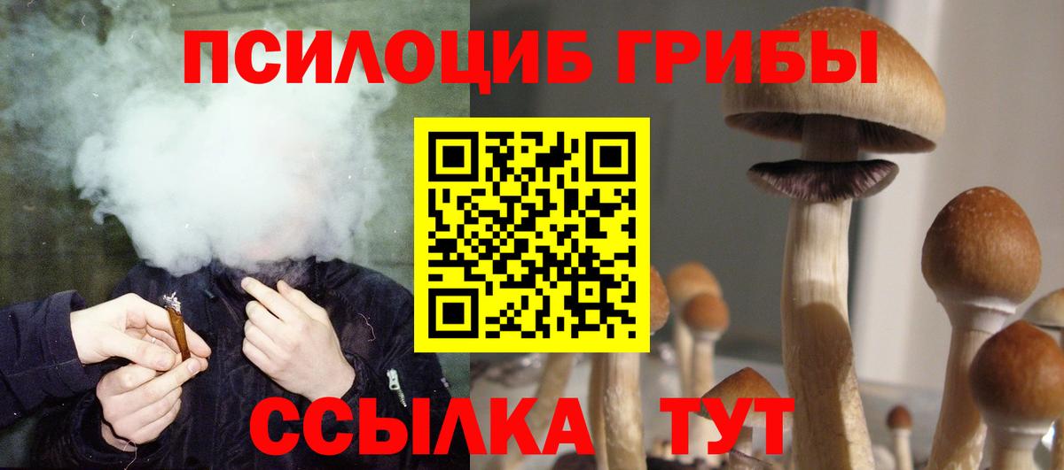 Орёл  Галлюциногенные грибы Magic Shrooms  Вход с VPN  Псилоцибиновые грибы Psilocybe 